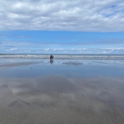 ngaicalvy's profile picture. 