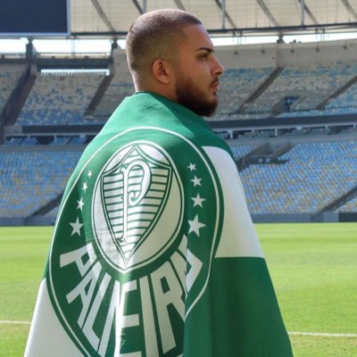 S.E. Palmeiras 💚