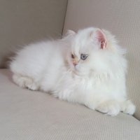 3308 FTM (@fatma44204947) 's Twitter Profile