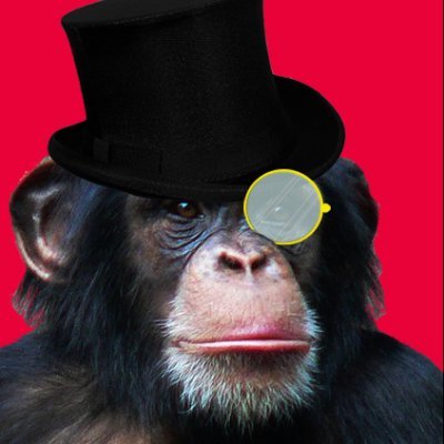 Artist, gentleman, chimp