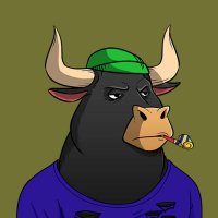 Buffalo(@kriptobuffalo) 's Twitter Profile Photo