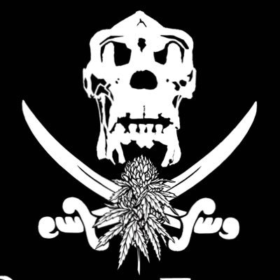 PirateFarmsNY's profile picture. Pirate Farms Long Island New York Legacy & Social/Economic Equity Applicant/Mentee 🦍💯💚🏴‍☠️