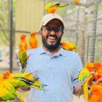 Nimesh Madushanka (@asknimesh) 's Twitter Profile