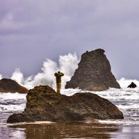 Robert Cohea (@robertcohea) 's Twitter Profile Photo