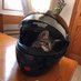 rf600r (@rf600r1) Twitter profile photo