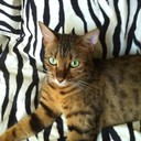 Marla Michael - @marlamich - Twitter