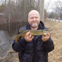 Mike Shea (@fightnirishmike) 's Twitter Profile