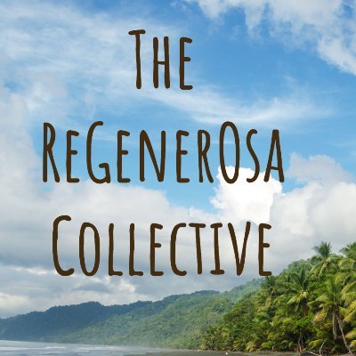 We fuel those who re-store, re-new, and re-pair all that is needed to realise a regenerative Osa community that lives among 2.5% of the Earth's biodiversity.