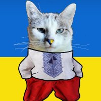 ✙ Andriy The Tall Cossack ✙ #NAFO 🇺🇦🇺🇲💙💛💪(@AndriyNafo18) 's Twitter Profile Photo