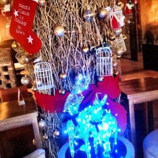 LaChica_chica's profile picture. 강남구 신사동 568-11 한국산업양행빌딩 1층 (한남-동호방향의 압구정길에서 광림교회입구, 우리은행/신한은행 사이길로 우회전, 신구초등학교앞) tel:07042002015 http://t.co/jReBKqH8Qy