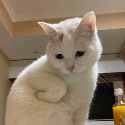 会一直画到死⑅さんのプロフィール画像