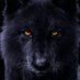 alpha (@alphacresc) Twitter profile photo alpha (@alphacresc) Twitter profile photo
