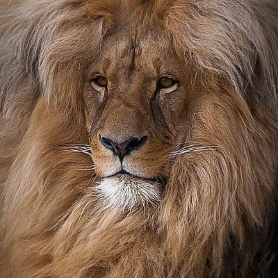 DavidLeovy's profile picture. My Physical Body & My Soul Body IN GOD's RULES & HIS WILLS 
GOD &HIS TRUTH Not From Your Quarrel, Debate & Vote

PrimitiveBlack & HuaconfucianChinese Not