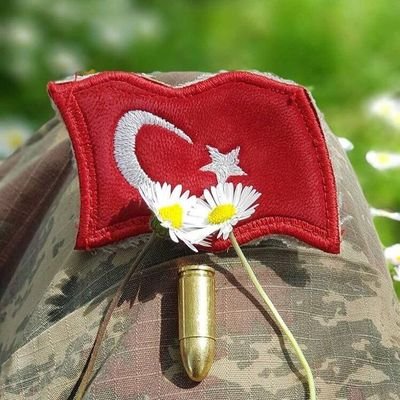 fszakan2's profile picture. 