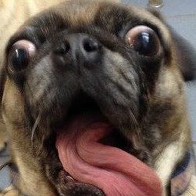 MartinShay91204's profile picture. 