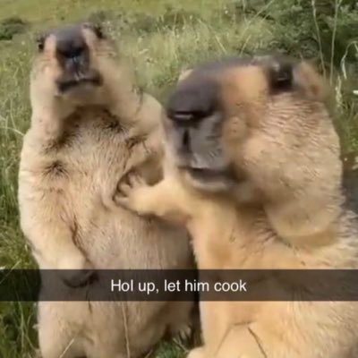 Pakiswag20's profile picture. Being Raw With Little Mac and Lucario