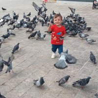 Ayhan Düzgün (@ayhandz78892542) Twitter profile photo