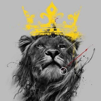 Linobee33's profile picture. I love mantle ⚙️