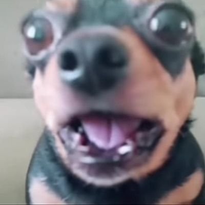 🤍╭╯priv/vent account!! will be using for things like backup, venting but I will try n use tws for wild stuff! replys ok and encouraged!