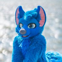 Flexible Blue Dog(@SyberXenon) 's Twitter Profile Photo