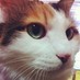 Reiko Uehara (@uereiy) Twitter profile photo Reiko Uehara (@uereiy) Twitter profile photo