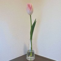 花を買う人(@flower_buyer) 's Twitter Profile Photo