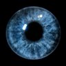 JimladBlake's profile picture. The party told you to reject the evidence of your eyes and ears. It was their final, most essential command.” - George Orwell, 1984