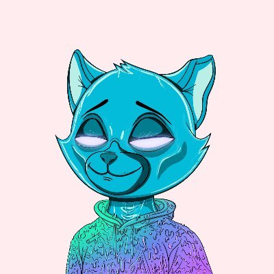 slushyfunds's profile picture. web dev