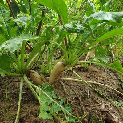 minh170490's profile picture. 