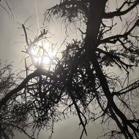 Person... (@g_ma90) 's Twitter Profile Photo