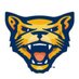 WVU Potomac State College Esports (@wvupscesports) Twitter profile photo WVU Potomac State College Esports (@wvupscesports) Twitter profile photo