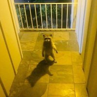 isaarrow (@isaarrow_) 's Twitter Profile Photo isaarrow (@isaarrow_) 's Twitter Profile Photo