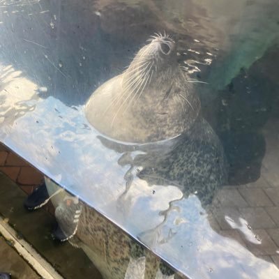 idledtoolong's profile picture. henlo i mustvrcclicked wrong button