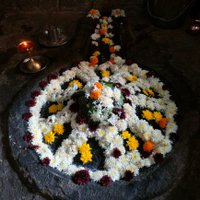 Animesh Mandal (@man43773) 's Twitter Profile