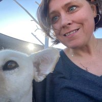 pam mccratic (@pmccratic) 's Twitter Profile