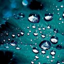 sharon willingham - @geministar025 - Twitter