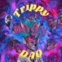 oogy (@trippy_oogy_dao) 's Twitter Profile