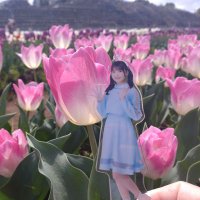 まきたん(@gainenhinata) 's Twitter Profile Photo