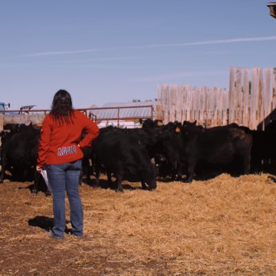 LucyMcNiven's profile picture. BSC AGR - University of Guelph - OAC ‘25