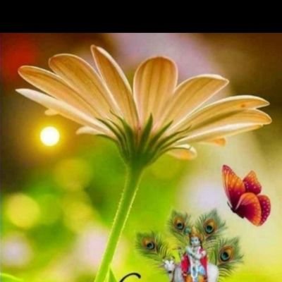 GohilSahadevsi1's profile picture. Trader