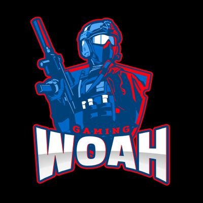 We do videos and clips of really any games we play (which is alot), Show your support by following

Tik tok: @realwoahgaming
Twitch: WOAHGamingLIVE