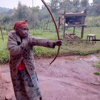 Lovedbee's profile picture. Democracy Advocate...