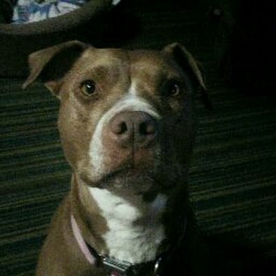KjelshusTe96252's profile picture. 