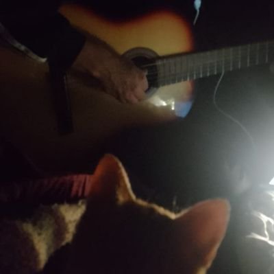 músico pero sobre todo, amante de la música