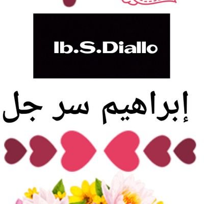 DIALLOI53097859's profile picture. 