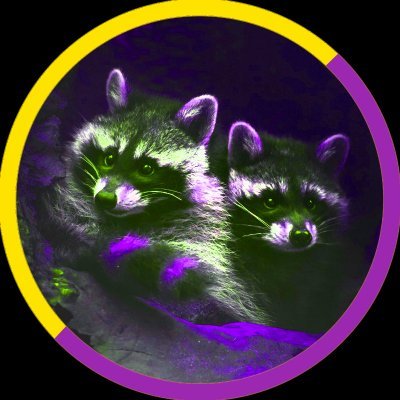 Hi! Do you enjoy trash pandas squeaking about trash we find on the internet... and our local dumpsters? Then come hang out with us!