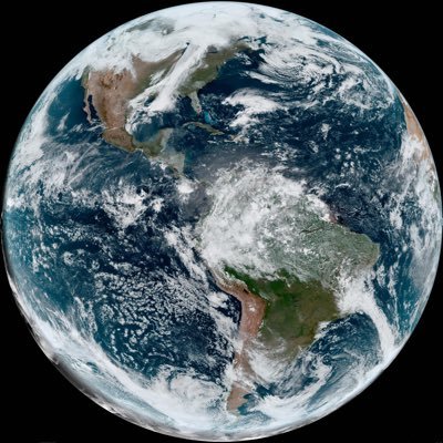zzseoni's profile picture. 