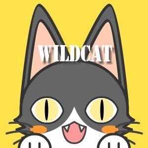 ワイルドキャット(WildCat) 閑古鳥の巣 デレステ バンドリ プロセカ アリスギア ゲームウマ娘