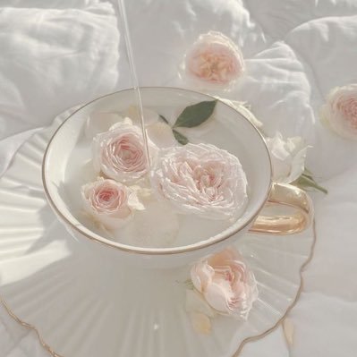 zorinacore's profile picture. 🤍 Self reflect/Personal blog 🤍 It’s like having your own small garden you gotta tend to and pull some weeds! 💐🌹