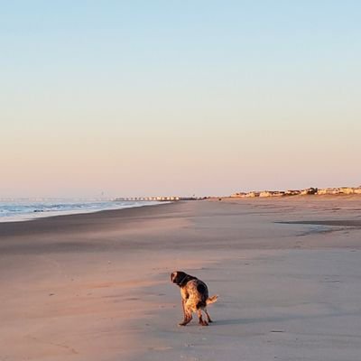 Fbsaltfly's profile picture. I want to BBQ Spider Pig and other tasty meats.  Member of Knights of Columbus ✝️ and love Philly sports.  Fr Murphy at St Dots is a legend.